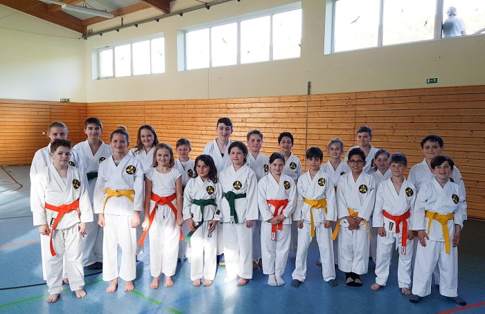 20180420_Karate Töging - Klein